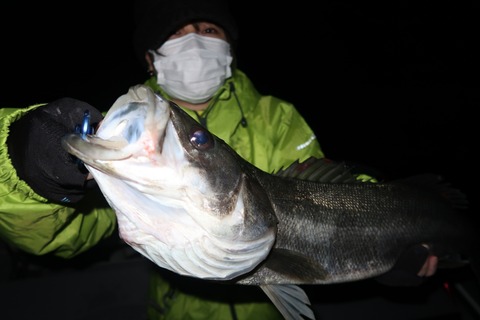 20200320212405_IMG_8022