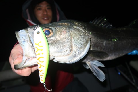 20240107004914_IMG_9555