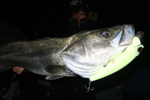 20231114203603_IMG_8467