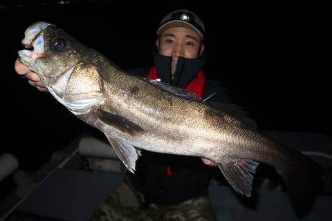 20210403214428_IMG_4000