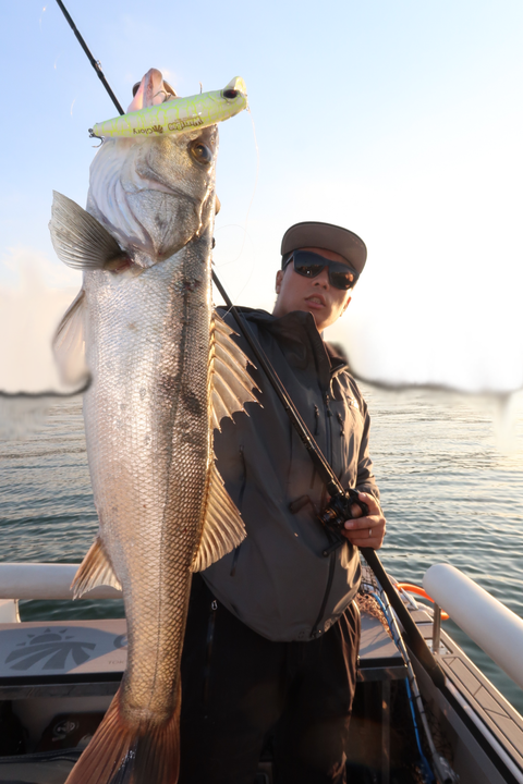 sketch-1603723343698