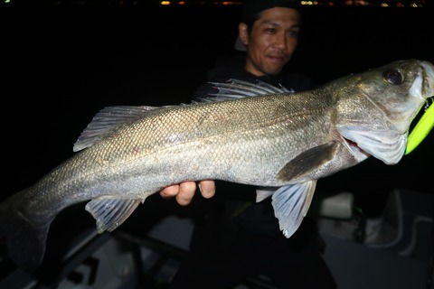 20240425210532_IMG_1230