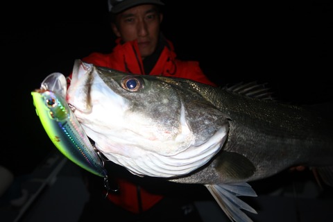 20221031225428_IMG_2889