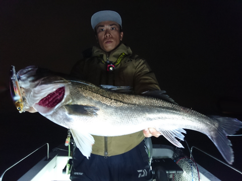 sketch-1542038500165