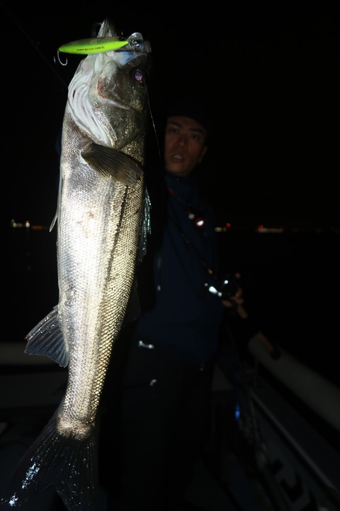 20240427203732_IMG_1287