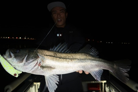 20221021202507_IMG_2615