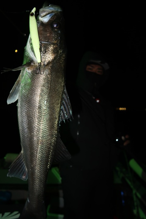 20240106234530_IMG_9538