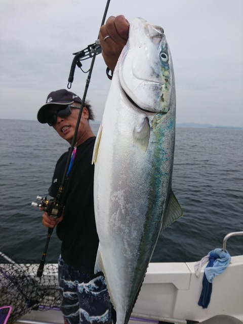 [画像:724834ba-s.jpg]