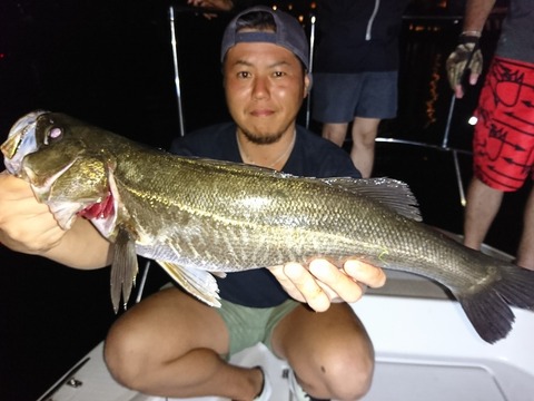 [画像:7248e915-s.jpg]