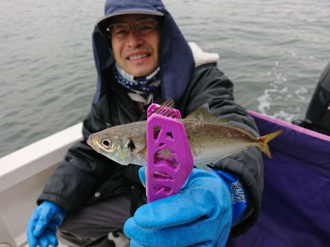 [画像:7378b4c8-s.jpg]