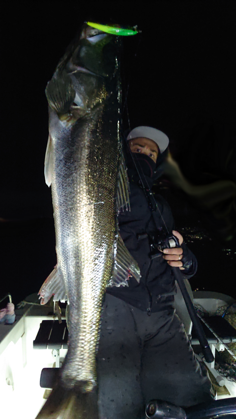 sketch-1548188351867