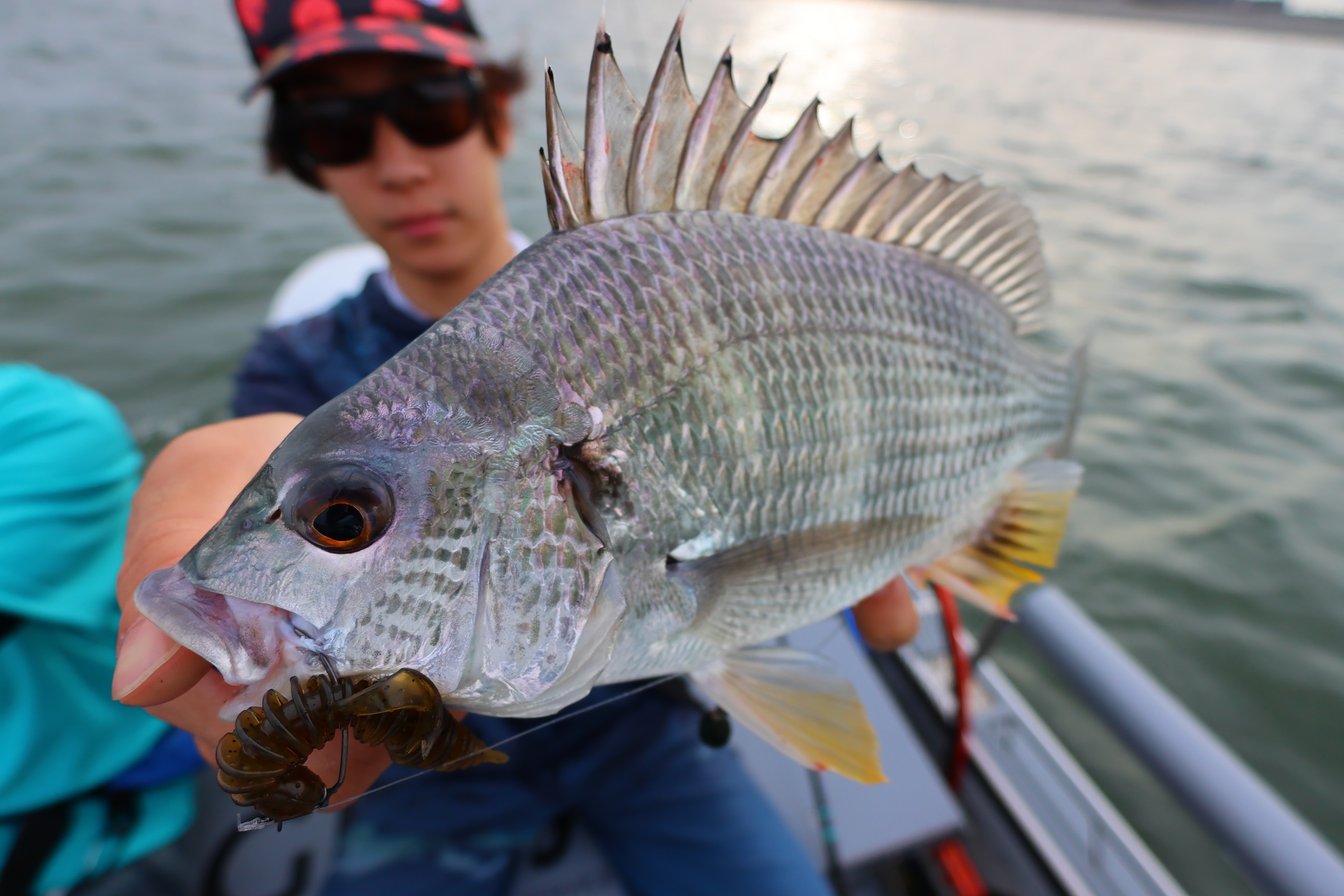 6月17日釣果情報！！ : TOKYOBAY FISHING GUIDE SERVICE Glory