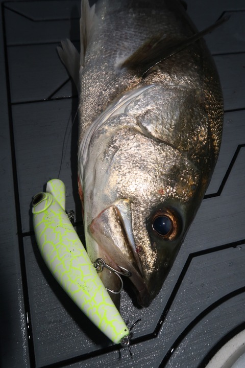 20201011172154_IMG_0504