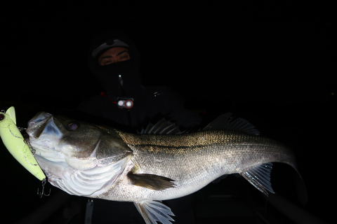 sketch-1703268986277