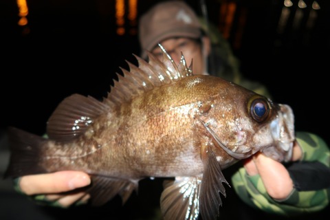 20200430003242_IMG_8626