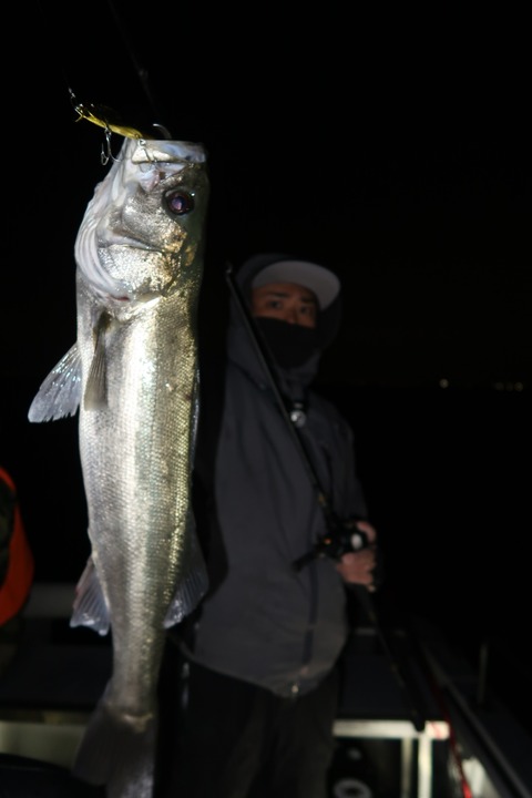 20200126004443_IMG_7286