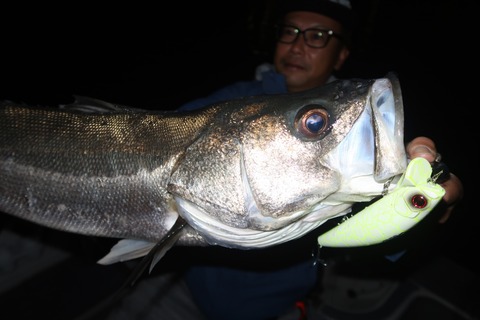 20231123202822_IMG_8703