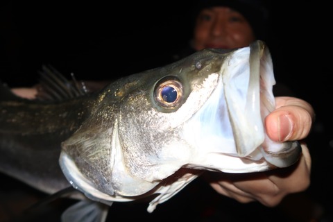 20200215200801_IMG_7519