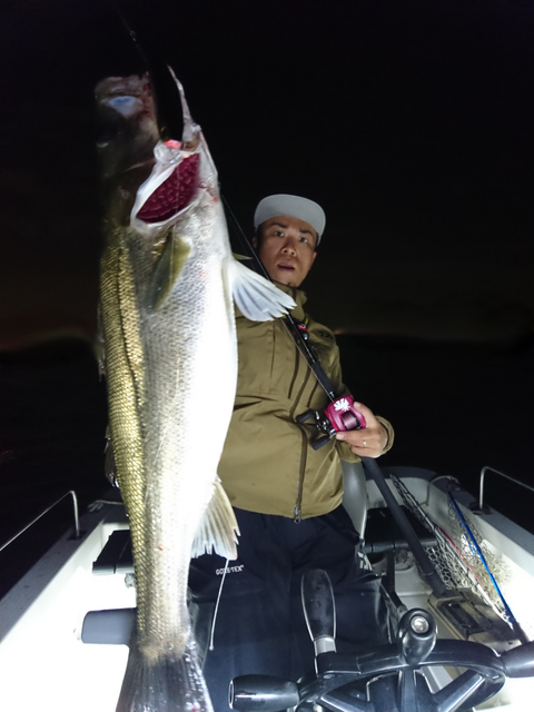 sketch-1541937444029