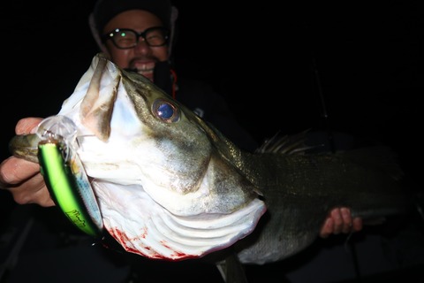 20221106184853_IMG_3030