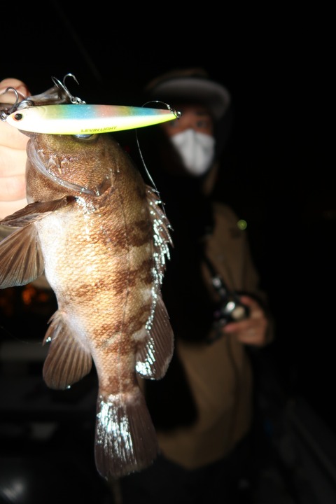 20200503031551_IMG_8687