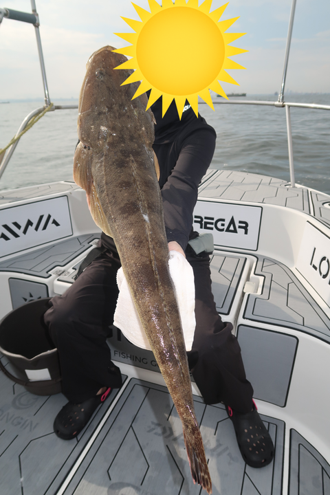 sketch-1598189017134