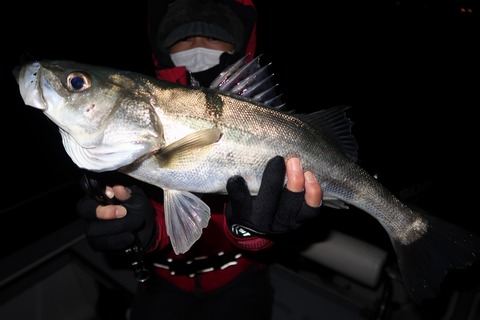 20200218200248_IMG_7585