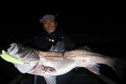 sketch-1700758763612