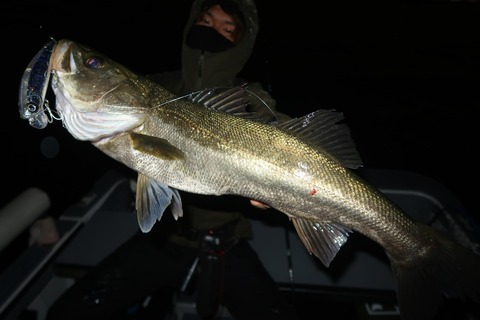 20231114222238_IMG_8493