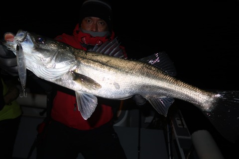 20231230190728_IMG_9466