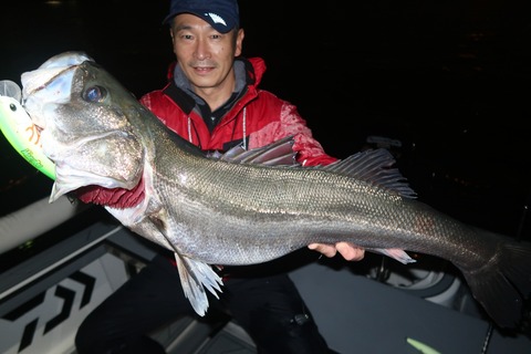 20221115003802_IMG_3319