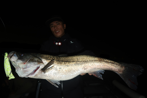 sketch-1668808160415