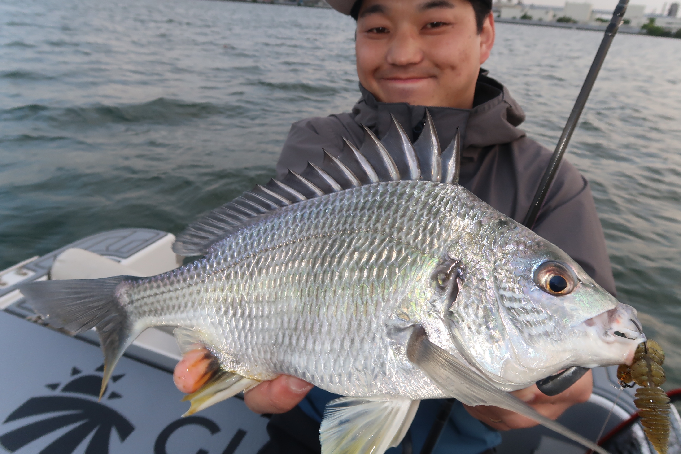 よ*龍様 早い者勝ち！14ステラSTELLA3000M シーバス SLJ 4月19日〜20日釣果情報！！ : TOKYOBAY FISHING GUIDE SERVICE Glory