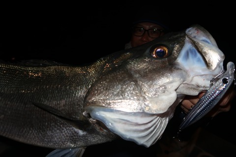 20231230193719_IMG_9488