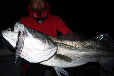 20221217191830_IMG_4194