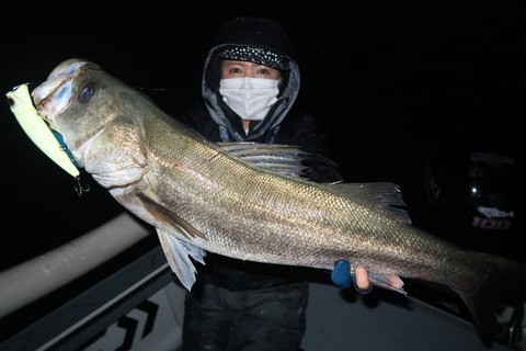 20221114235803_IMG_3305