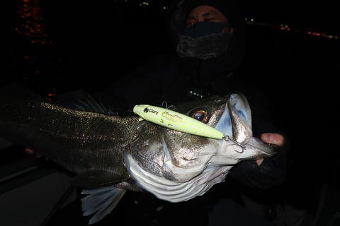 20211023231251_IMG_6911