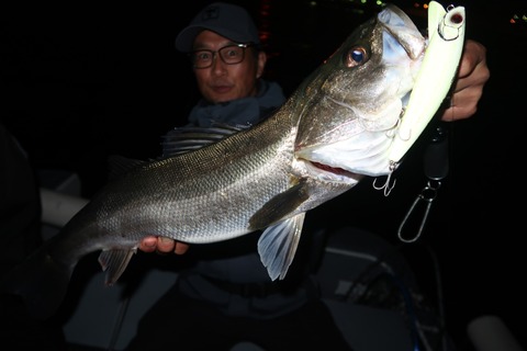 20240401200804_IMG_0789