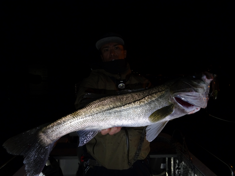 sketch-1572973499313