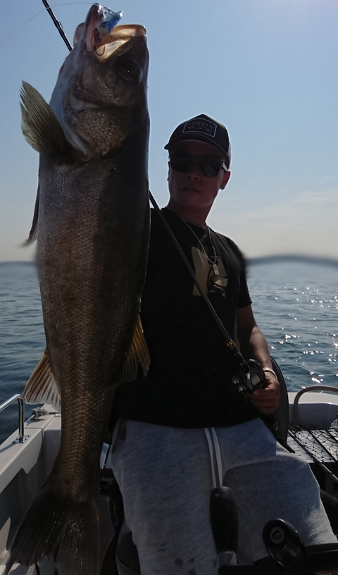 sketch-1529894059905