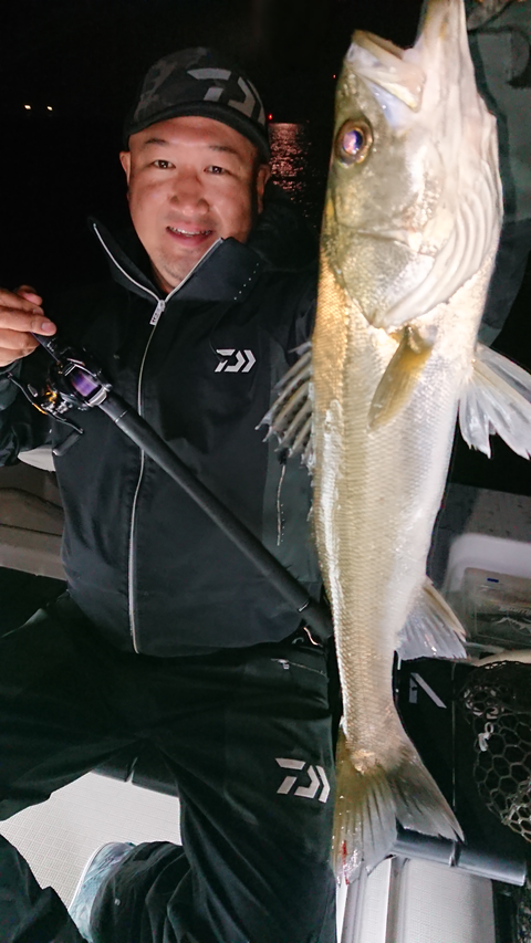 sketch-1544187228426