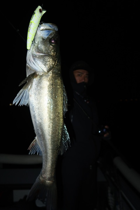 20221031201819_IMG_2868