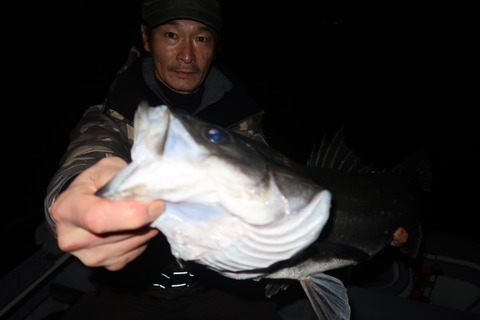 20200309225227_IMG_7914