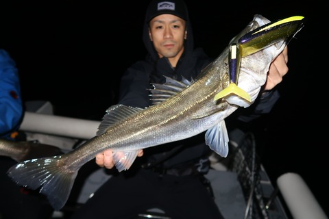 20201001000412_IMG_0322