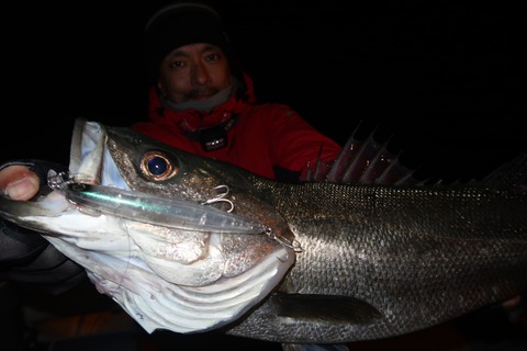 20231230193053_IMG_9482