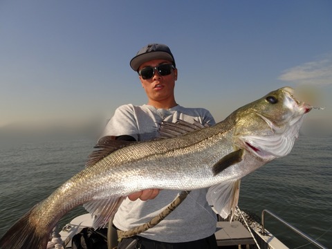 ぼかし丸_20191107_140215