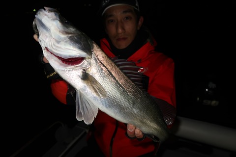 20200127025610_IMG_7289