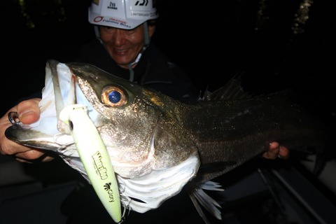 20240404210430_IMG_0838