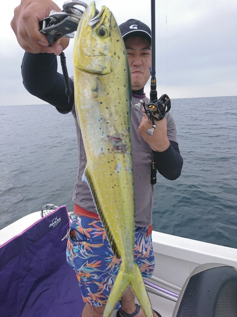 [画像:7fb96c0a-s.jpg]