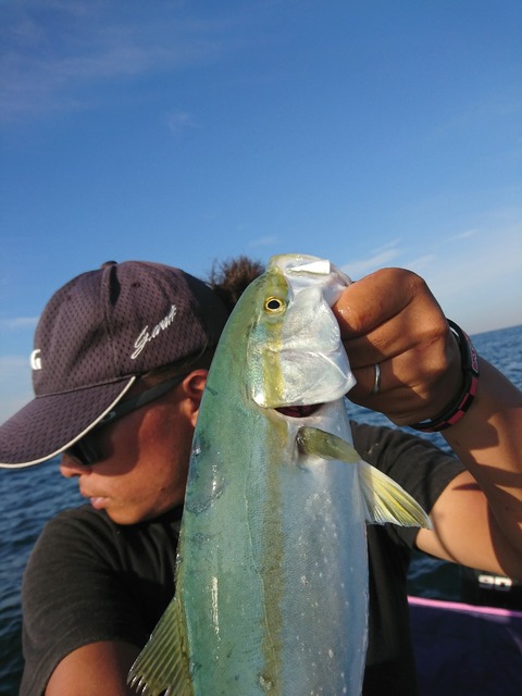 [画像:800189c0-s.jpg]